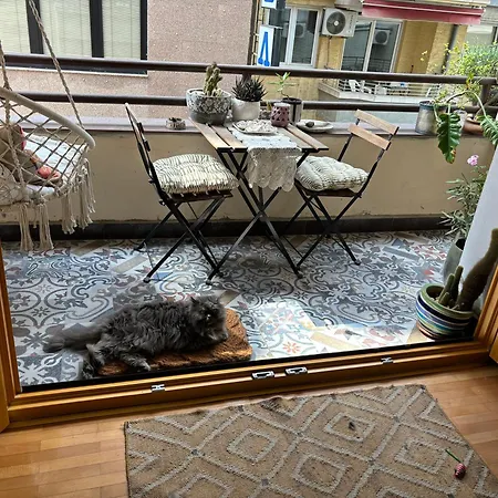 Lovely 1-bedroom In The Bohemian Center *