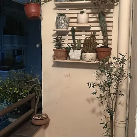 Lovely 1-bedroom In The Bohemian Center Daire