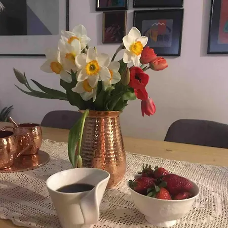 Daire Lovely 1-bedroom In The Bohemian Center Üsküp