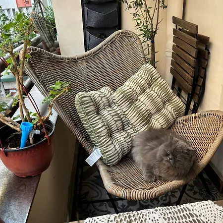 Lovely 1-bedroom In The Bohemian Center *
