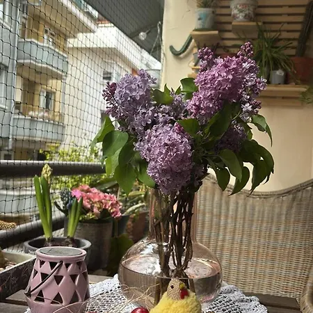 Lovely 1-bedroom In The Bohemian Center *
